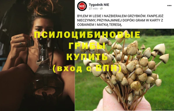 дистиллят марихуана Балахна