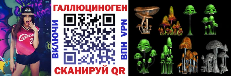 закладки  Озёрск  Псилоцибиновые грибы GOLDEN TEACHER 